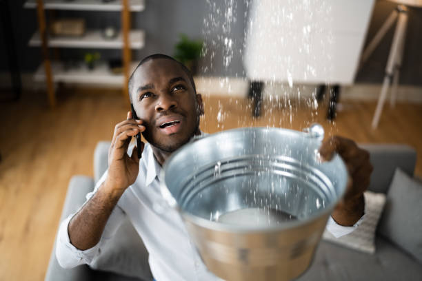 Best Water damage contractors near me  in Poynette, WI
