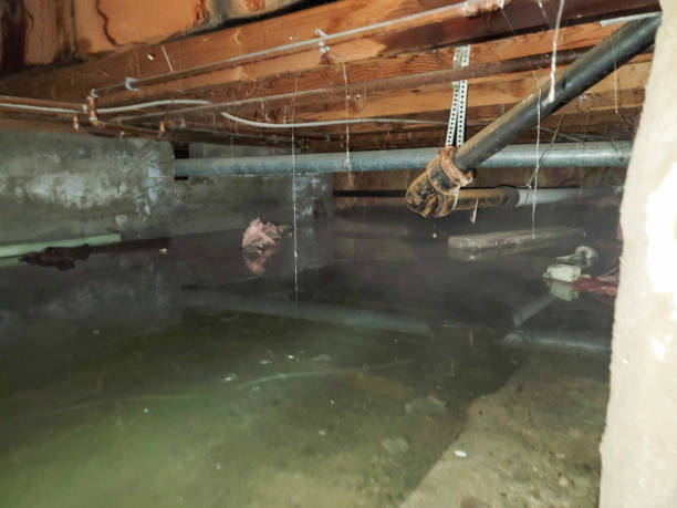 Best Fire Damage Restoration  in Poynette, WI