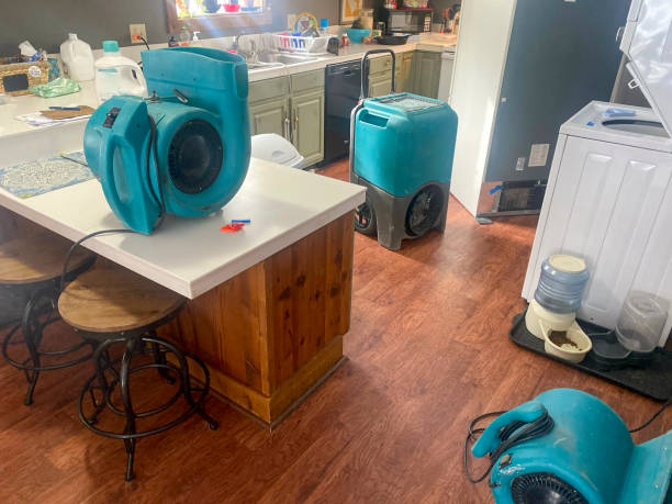 Best Water damage cleanup near me  in Poynette, WI