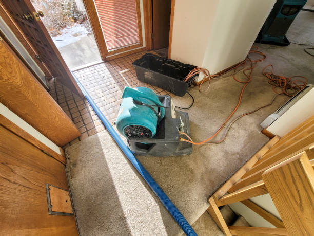 Best Water damage mitigation services  in Poynette, WI
